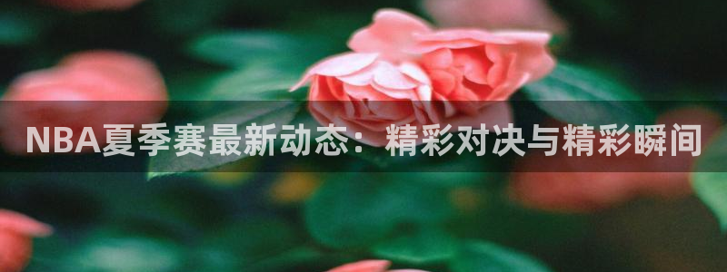 NBA夏季赛最新动态：精彩对决与精彩瞬间